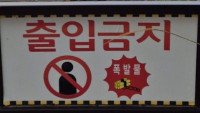 Landmines & Lifers: Birdwatching on the Han River in Seoul